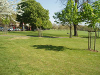 Peckham Rye Peckham Rye